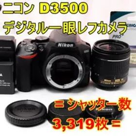 〓シャッター数3,319枚〓ニコン D3500 デジタル一眼レフカメラ