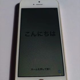 Apple iPhone SE（初代）32GB ローズゴールド 本体