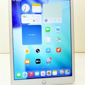 白ロム SIMフリー docomo SIMロック解除済 Apple iPad8 Wi-Fi+Cellular 32GB iPadOS26.2 シルバー MYMJ2J/A 初期化済 【m029585】【中古】【K20260119】