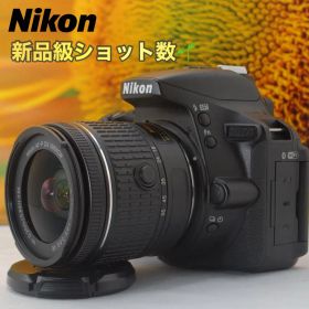 美品✨Nikon D5600 手ブレ補正付AF-Pレンズセット スマホ転送対応