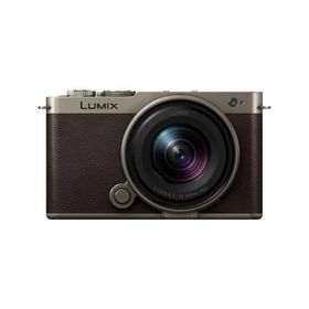 【長期5年保証付】パナソニック(Panasonic) LUMIX S9 DC-S9N-N チタンゴールド デジタル一眼カメラ 広角ズームレンズキット