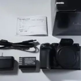 【半年未満 | 美品】Panasonic LUMIX S5IIX ボディ