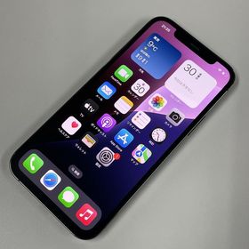 ★利用制限〇★ iPhone 12 Pro 256GB グラファイト SIMロック解除済