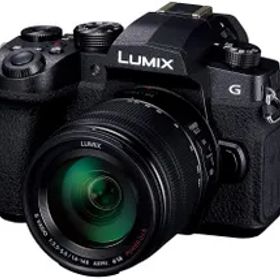 パナソニック ミラーレス一眼カメラ ルミックス G99DH 高倍率ズームレンズキット ブラック DC-G99DH-K