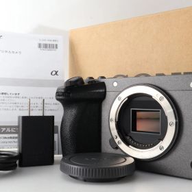 SONY(ソニー) APS-C Super35mm レンズ交換式 Cinema Line カメラ プロフェッショナルカムコーダー 動画 FX30 ボディ(レンズなし) ILME-FX30B