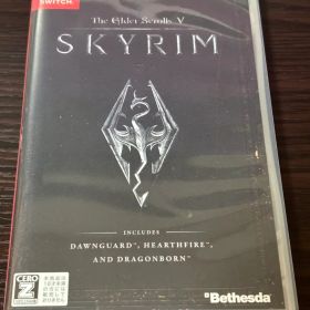 The Elder Scrolls V: Skyrim (Switch)