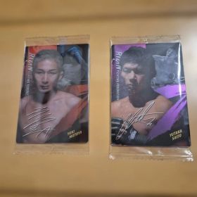 RAIZINカード 非売品 YUKI MOTOYA YUTAKA SAITO