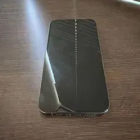 Apple iPhone 13 Pro 256GB（画面割れ有り）