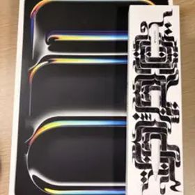 iPad Pro M4 11インチ 256GB+ApplePencilPro美品