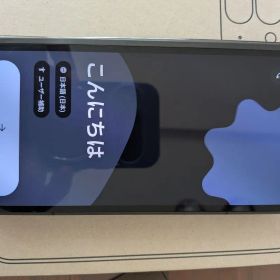 ジャンク品Google pixel 9 pro fold