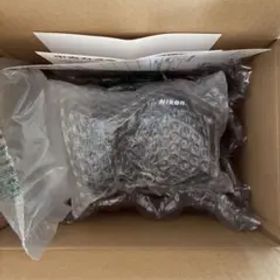 【美品】室内試写のみ 保証あり Nikon Z 5 ミラーレス一眼カメラ