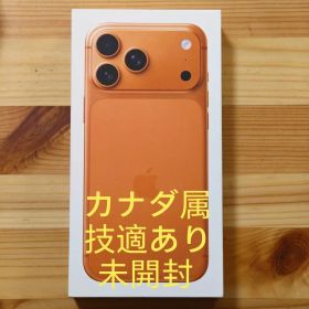 Apple iPhone 17 Pro Max Orange 256GB CA属
