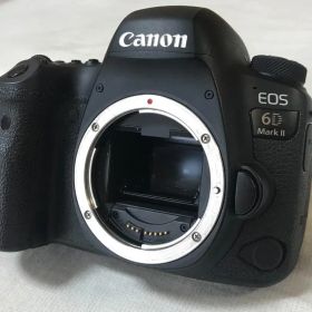 EOS6D MarkⅡ+予備バッテリ－2個付き+液晶部ガラスコーティング