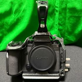 【オマケ多数】LUMIX S5IIX 本体(カメラリグセット)