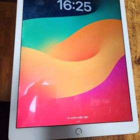 iPad Pro (12.9インチ) 第2世代 64GB