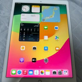 iPad Pro (12.9インチ) 第2世代 256GB Cellular