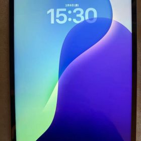 iPad Pro 12.9インチ (第5世代) シルバー 128GB セルラー