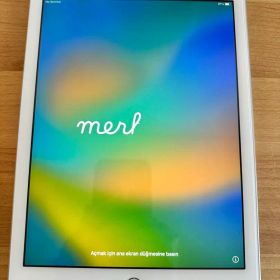 Apple iPad 第5世代 32GB Wi-Fi・Cellular シルバー