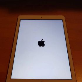 Apple iPad ゴールド第5世代32GB