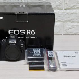 Canon EOS R6 ボディ 55000以下ショット