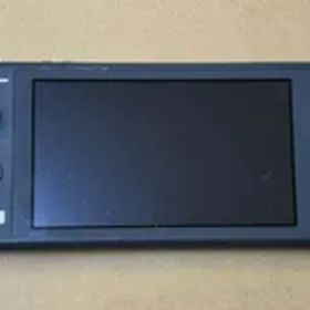 任天堂 Nintendo Switch Lite ニンテンドースイッチライト HDH-001 ジャンク現状品