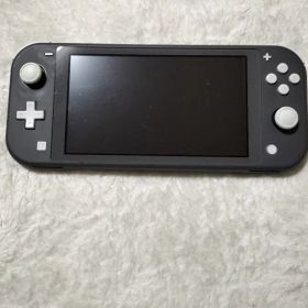 ジャンクNintendo Switch Lite グレー 本体不動品充電口×