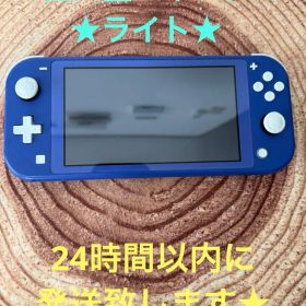 Nintendo Switch Lite ブルー 本体のみ 箱無し