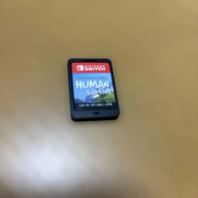 ヒューマン フォールフラット Switch