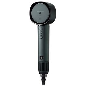 Plasmacluster Beauty IB-WX902-G [トワイライトグリーン]