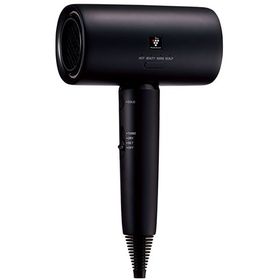 Plasmacluster Beauty IB-P802-B [ミッドナイトブラック]