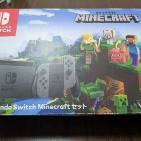 Nintendo Switch Minecraft セット