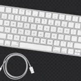 Apple純正 Magic Keyboard A1644 シルバー