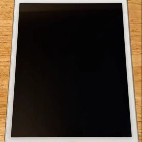 Apple iPad mini4 16GB