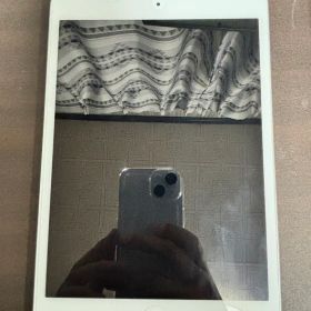 iPad mini4 64GB セルラーモデル（docomo） 初期化済