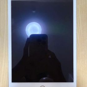 値下げ！Apple iPad mini 4 16GB cellular