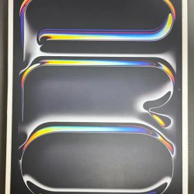 iPad Pro M4 13インチ 2TB シルバー セルラーモデル