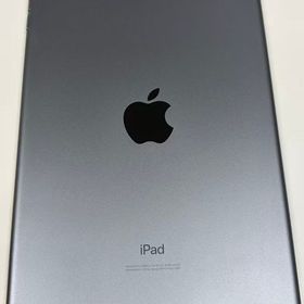 電池84% apple iPad mini(第5世代) 256GB スペースグレ