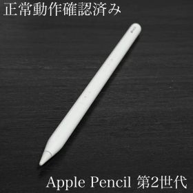 正常動作確認済み Apple Pencil 第2世代 MU8F2J/A ss6