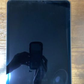 【極美品】iPad pro11 1世代 256GB Wi-Fi