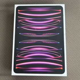 iPad Pro11インチ 第4世代 256GB セルラー スペースグレー 美品