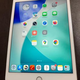 Apple iPad mini 5 シルバー64GB セルラー