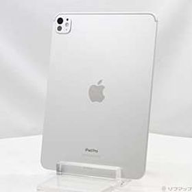 iPad Pro 11インチ 第5世代 標準ガラス 256GB シルバー MVV93J／A Wi-Fi