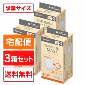 ＼20%ポイントバック〜18日9:59迄／【3箱セット】アイリスオーヤマ マスク 不織布マスク 30枚入 20PN-30PG 送料無料 使い捨てマスクアイリスオーヤマ 公式 子供用 ディスポーザブル 20PN-30PG 30枚入【iris_dl03】