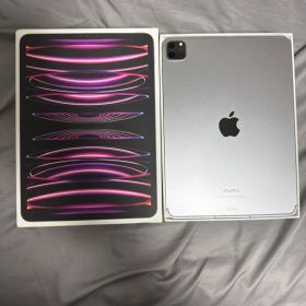 iPadpro 11インチM2 Wi-Fi+Cellular バッテリー100%