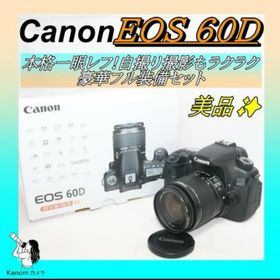 キヤノン(Canon)のフル装備キット Canon EOS 60D 趣味・旅行に最適 一眼レフ (デジタル一眼)