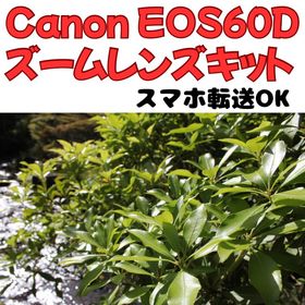 キヤノン(Canon)の旅行や運動会に♥️Canon EOS60D＋USM標準レンズで瞬間を綺麗に捉える✨️(デジタル一眼)