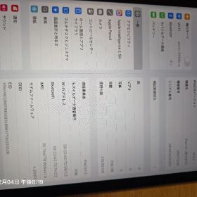 iPad air 第5世代 cellularモデル 256GBグレー 本体