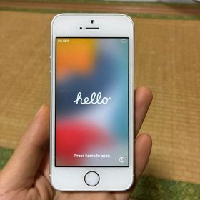 iPhone 初代SE バッテリー100%