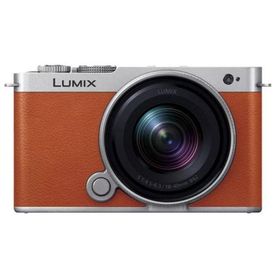 デジタルカメラ デジカメ カメラ パナソニック 広角ズームレンズキット LUMIX DC-S9N-D 15時まで当日出荷※営業日・入金済