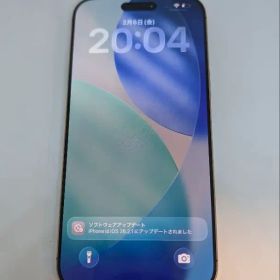 Apple iPhone16ProMax 256GB